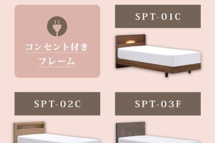 フランスベッド　ベッドフレーム　SPT