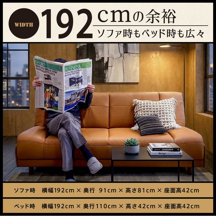 フランスベッド ソファーベッド バレン