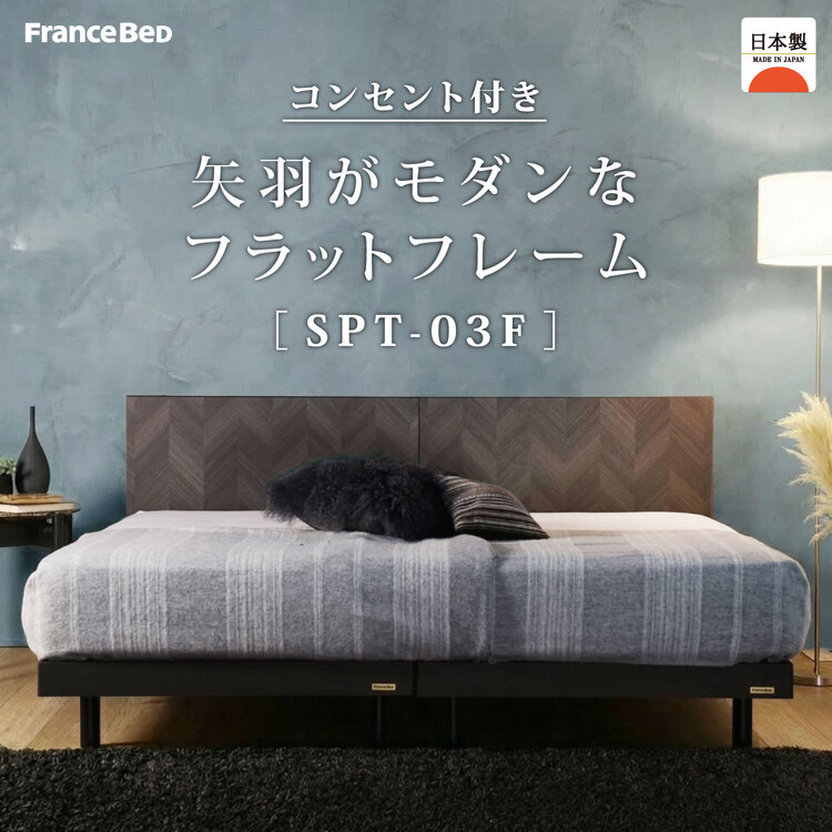 フランスベッド　ベッドフレーム　SPT-03F　イメージ画像