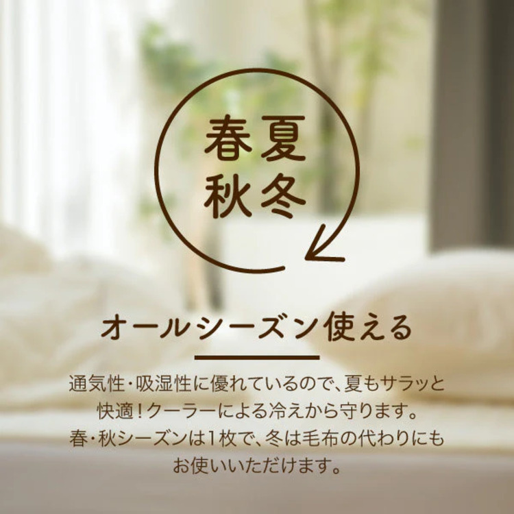 ロマンス小杉 タオルケット オールシーズン