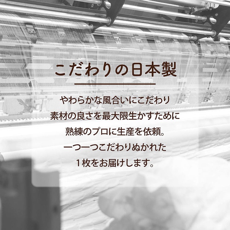 ロマンス小杉 ケット パイルケット 6735-6610-50