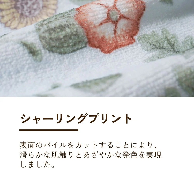 ロマンス小杉 タオルケット V&A 2835-5100-60